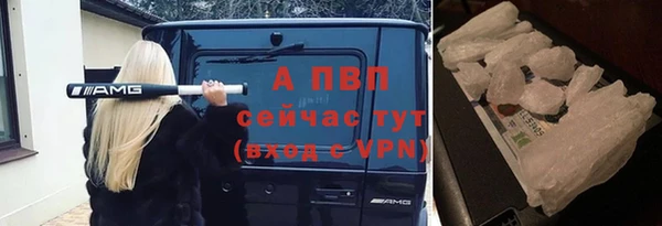мяу мяу мука Волоколамск