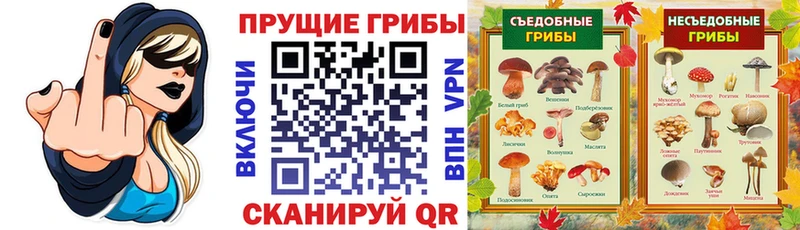 Галлюциногенные грибы Cubensis  Кисловодск 